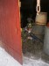 PICT0441